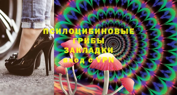 PSILOCYBIN Нефтегорск