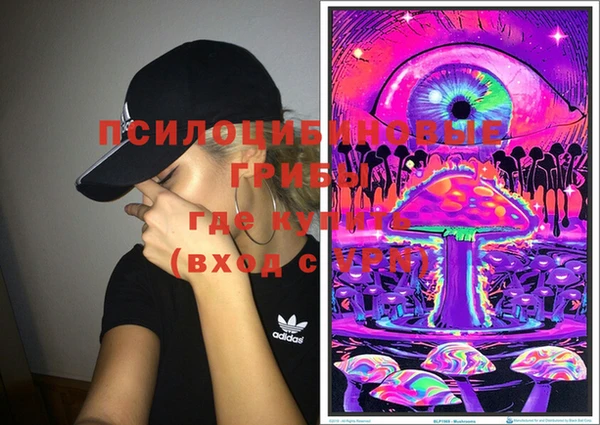 PSILOCYBIN Нефтегорск