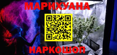 прущие грибы Гатчина