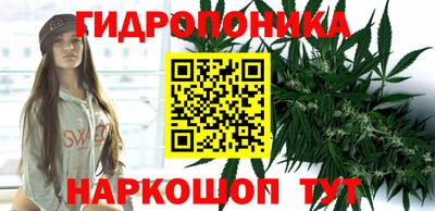 прущие грибы Гатчина