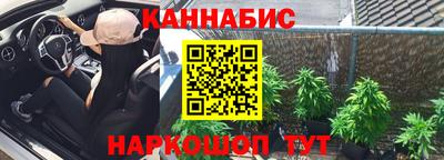 прущие грибы Гатчина