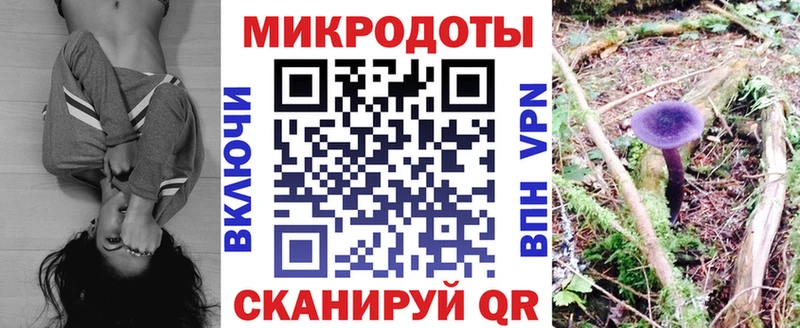 KRAKEN ТОР  shop формула  Апшеронск  Псилоцибиновые грибы GOLDEN TEACHER  где продают наркотики 