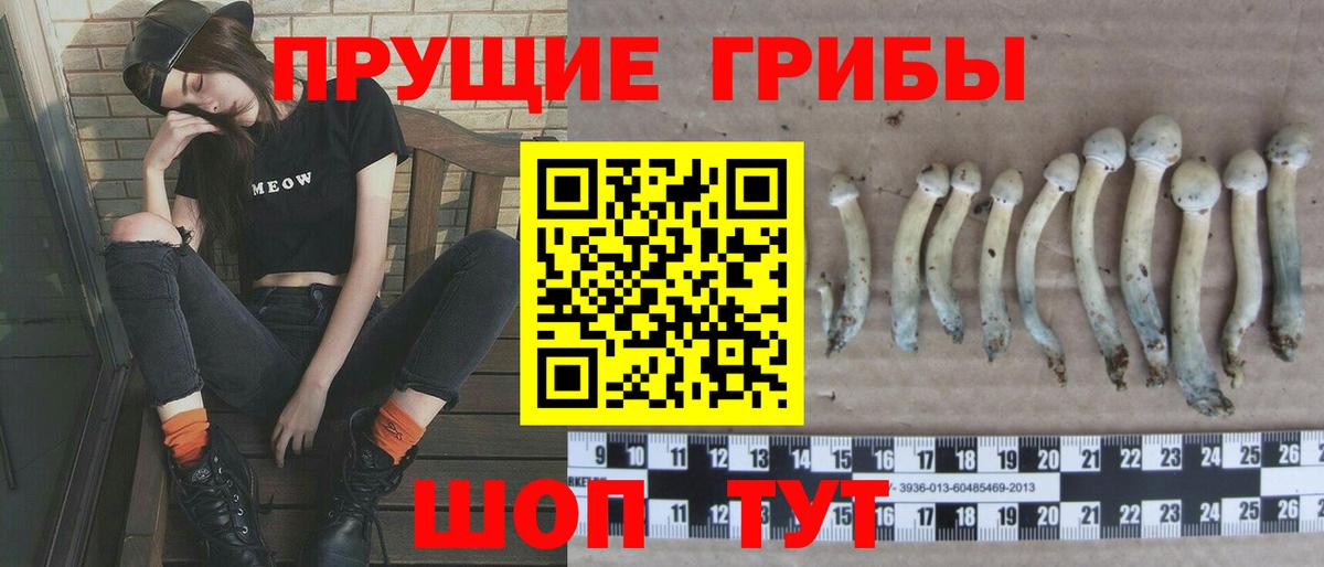 Апшеронск  Псилоцибиновые грибы GOLDEN TEACHER  Вход с VPN 