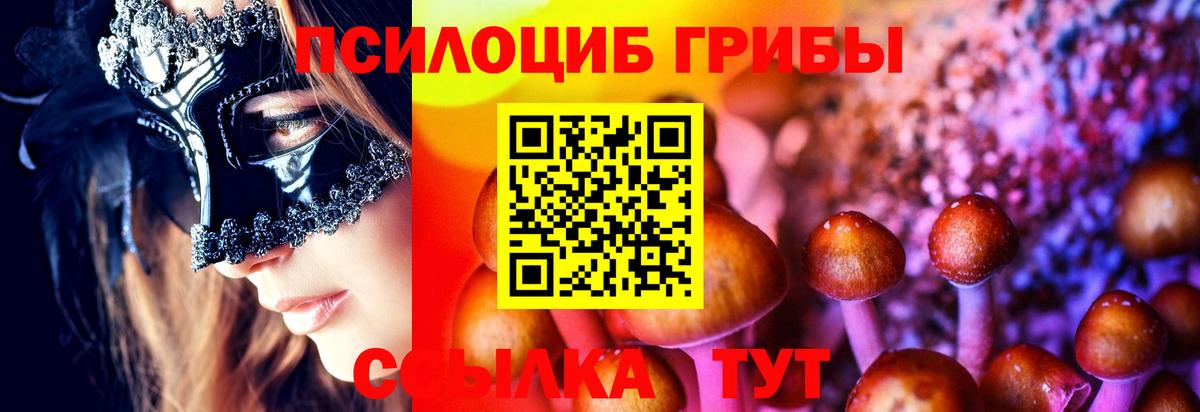 Галлюциногенные грибы GOLDEN TEACHER  Вход с VPN  Апшеронск 