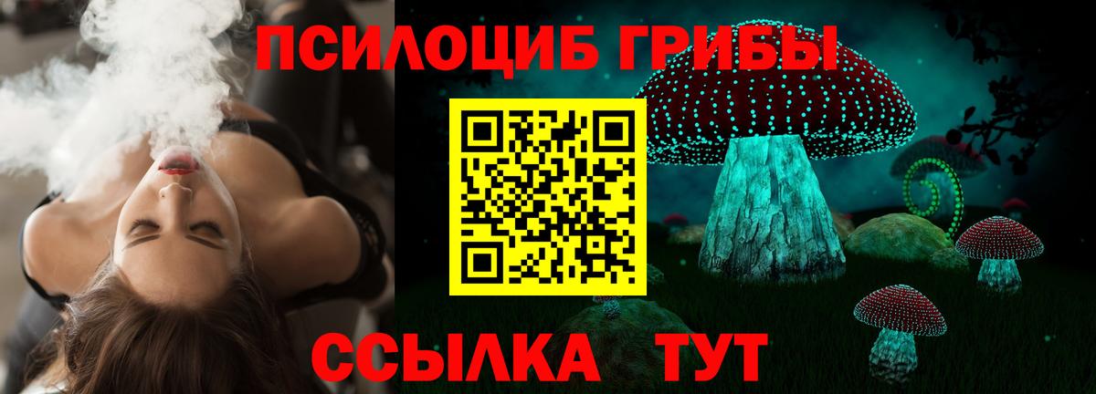 Галлюциногенные грибы мицелий Апшеронск
